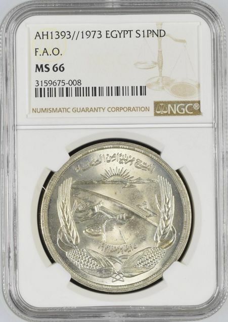 Egypt AH1393 1973 Silver Coin Pound Sun Corn Grain Aswan Dam F.A.O. NGC MS66