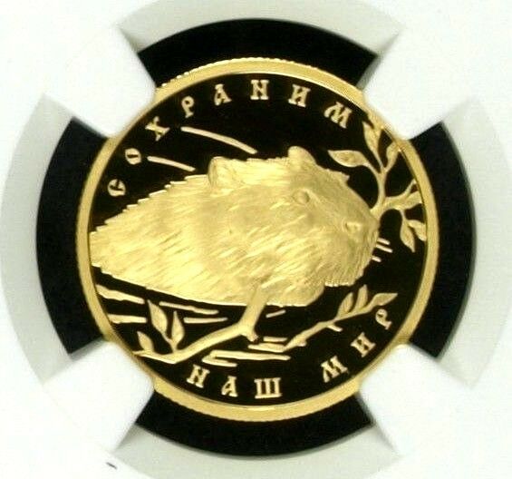 2008 Russia Gold Coin 50 Roubles European Beaver Safe Our World NGC PF70 Rare