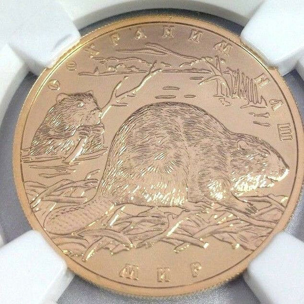 2008 Russia Gold 100 Roubles Rubles European Beaver Safe Our World NGC MS70 Rare